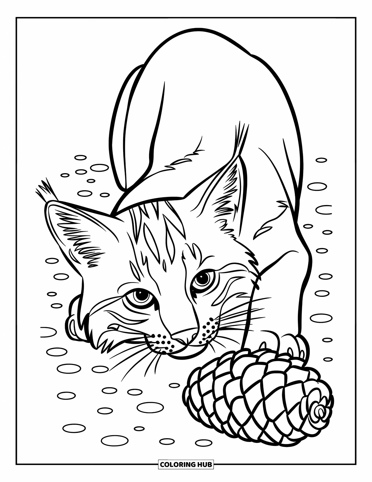 Bobcat Coloring Page for Kids: A wide-eyed bobcat plays beside a pinecone on textured ground