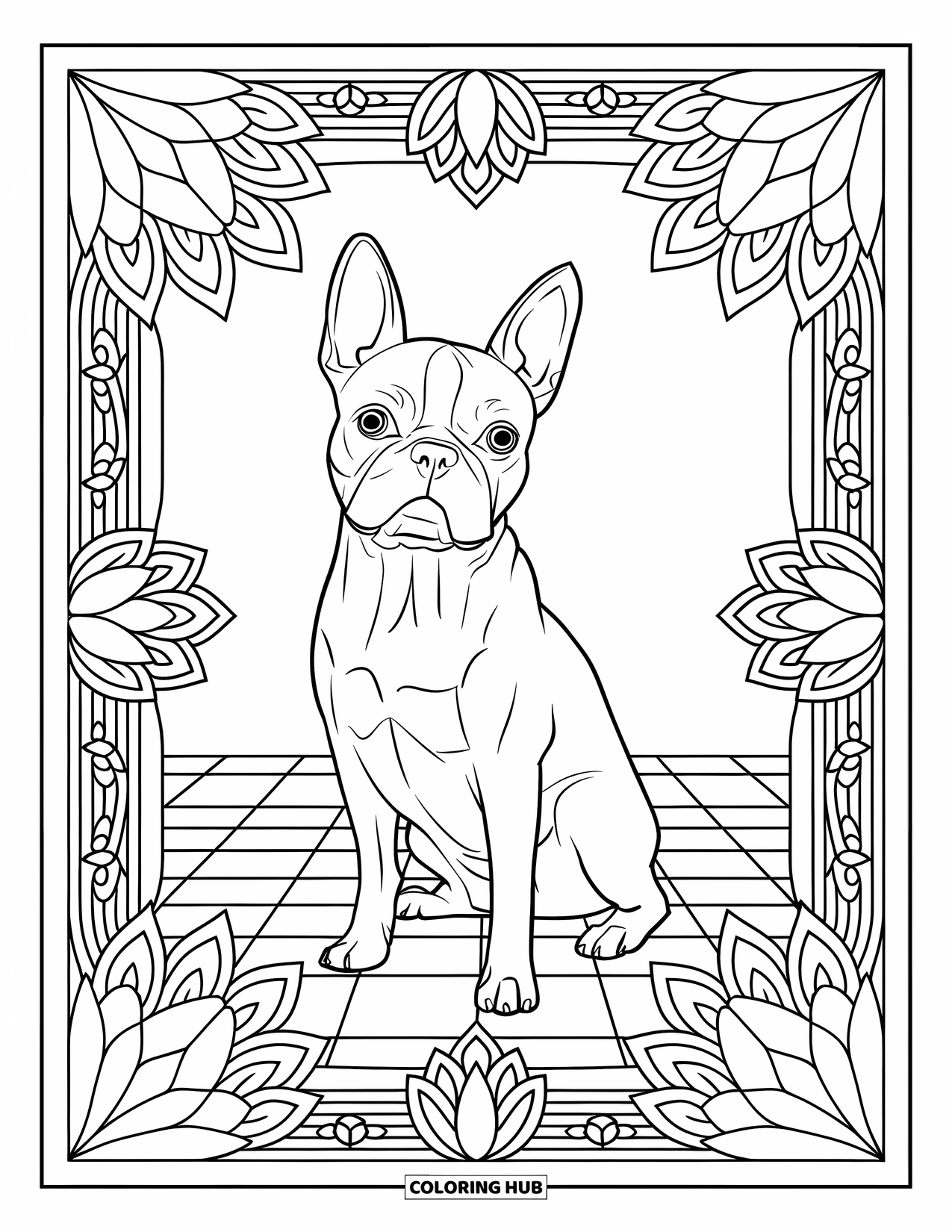 Boston Terrier Coloring Page for Adults: Boston Terrier on a checkered floor framed by lotus mandalas and decorative borders