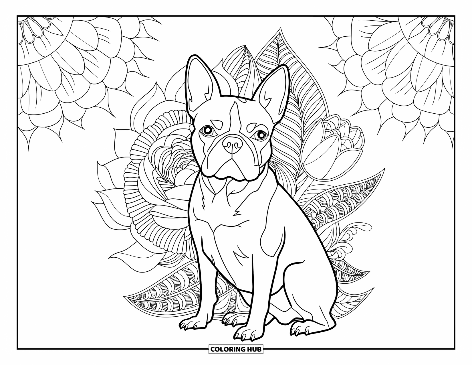 Boston Terrier Coloring Page for Adults: Boston Terrier sits among detailed floral mandalas with a background full of artistic patterns