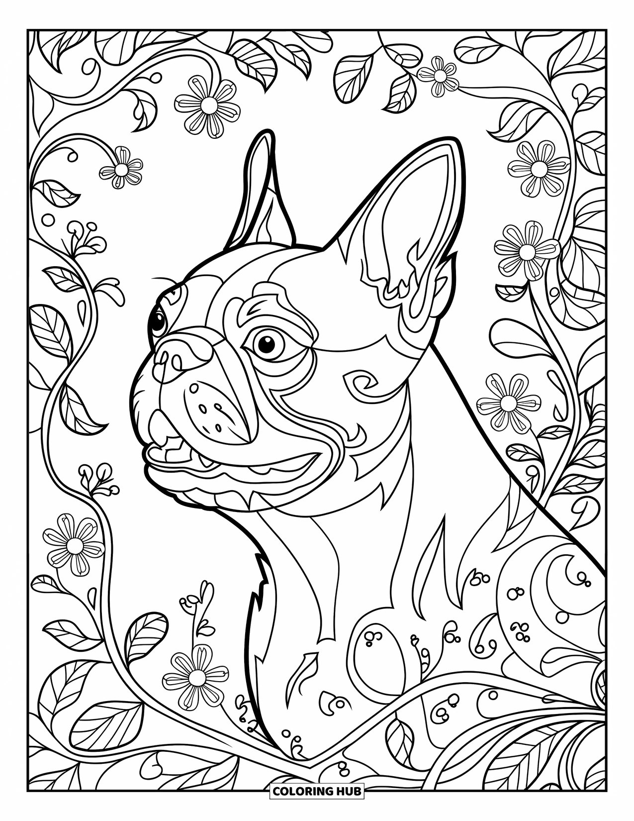 Boston Terrier Coloring Page for Adults: Boston Terrier's open-mouthed profile surrounded by vines, leaves, and ornate floral patterns