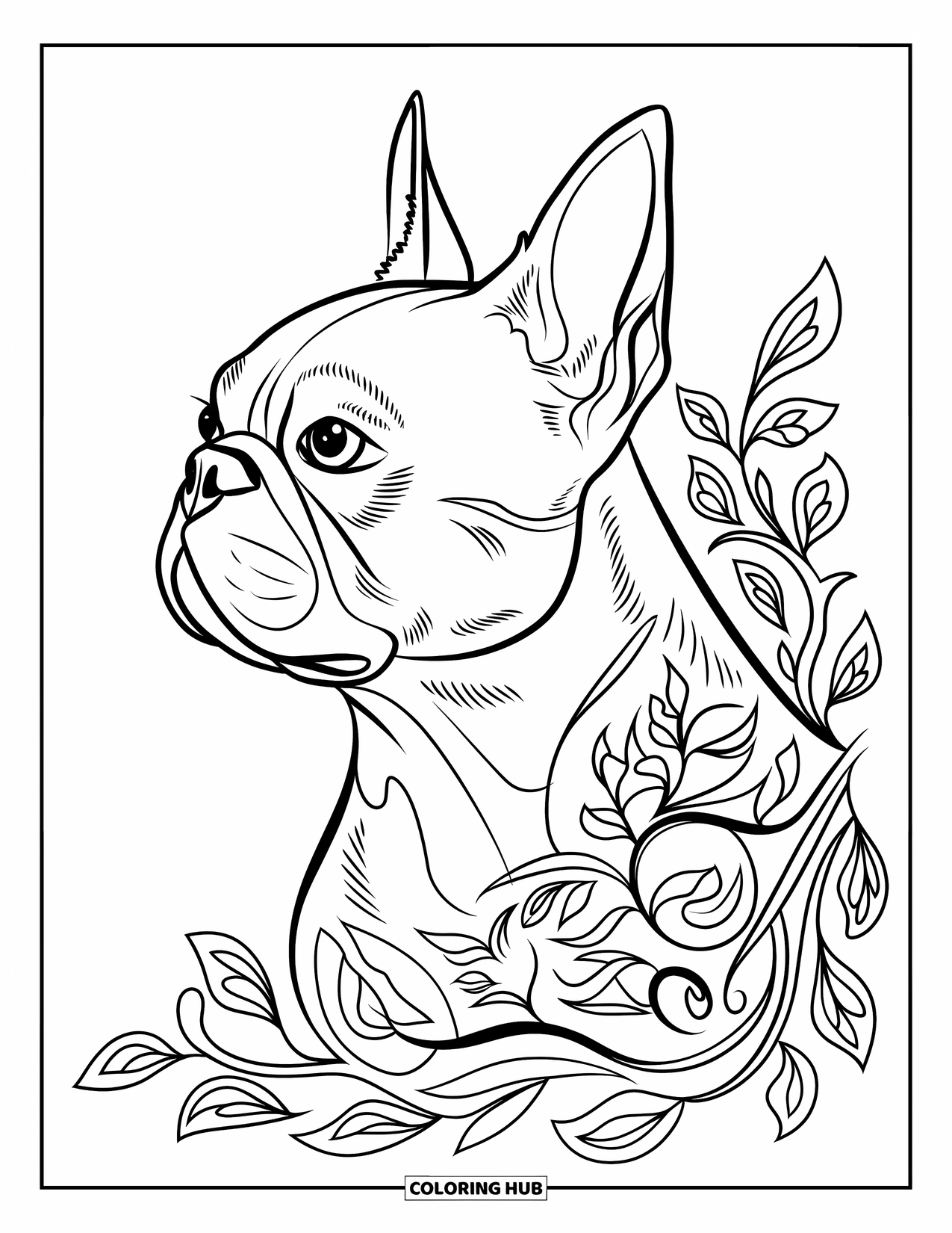 Boston Terrier Coloring Page for Adults: Boston Terrier's profile surrounded by curling vines and delicate leaves