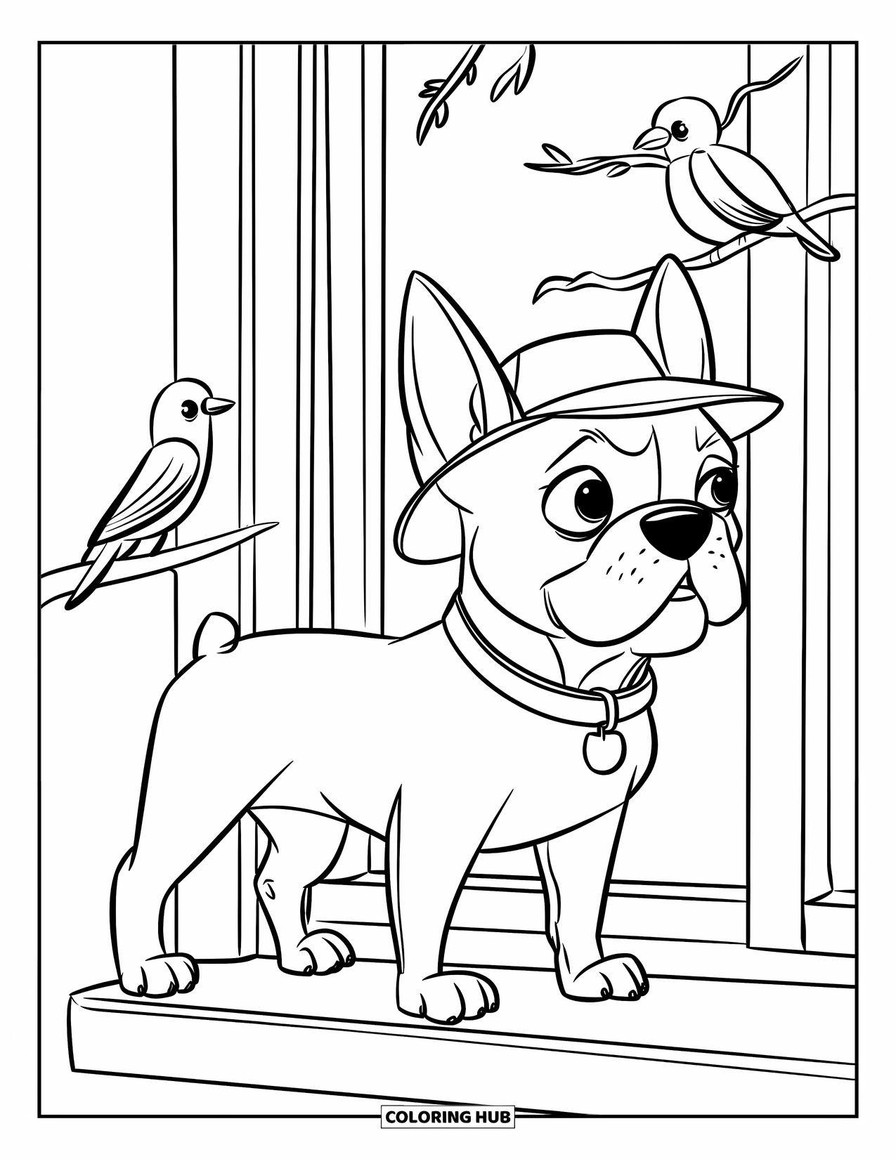 Boston Terrier Coloring Page for Kids: Boston Terrier in a hat gazing at birds through a window with a happy face