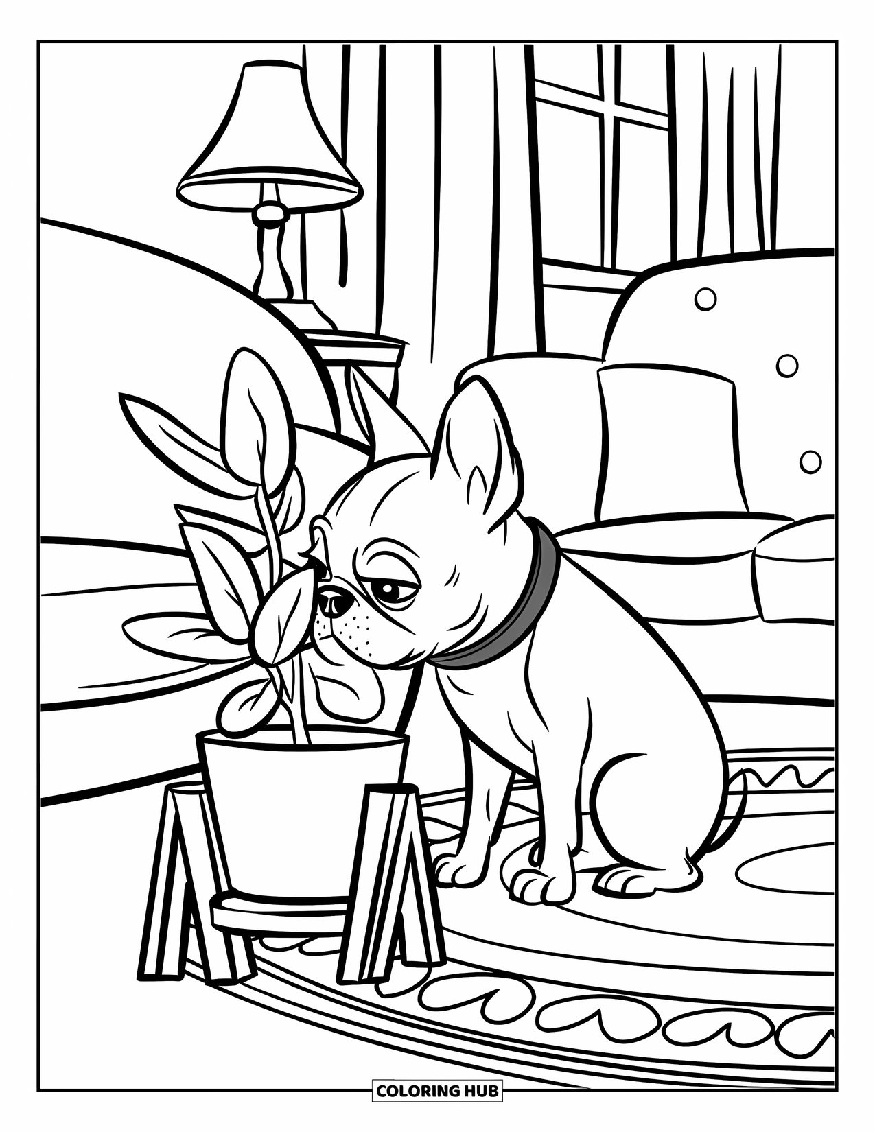 Boston Terrier Coloring Page for Kids: Boston Terrier in a red collar sniffing a plant beside a cozy couch and curtain