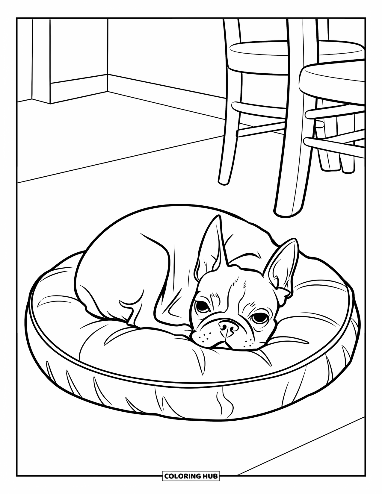 Boston Terrier Coloring Page for Kids: Boston Terrier resting on a pillow in a cozy room with a chair