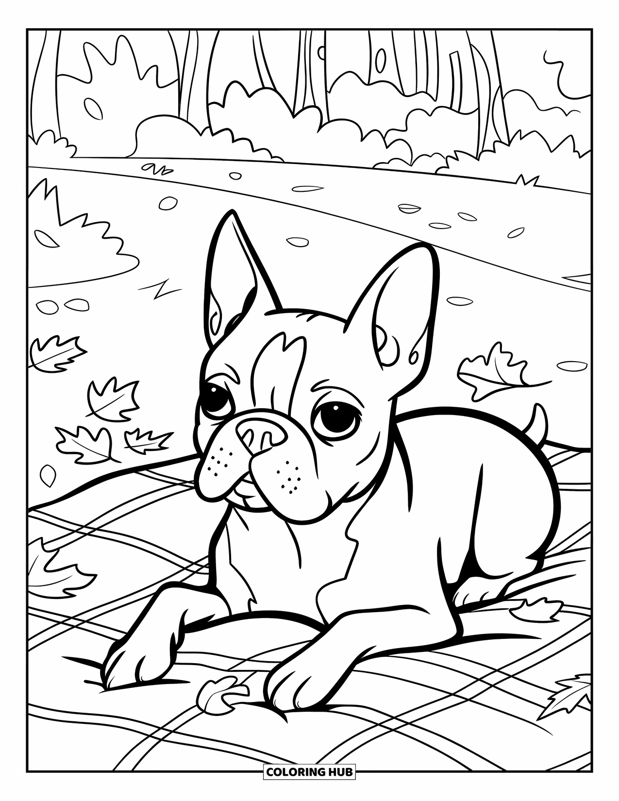 Boston Terrier Coloring Page for Kids: Boston Terrier resting on a plaid blanket surrounded by autumn leaves and trees