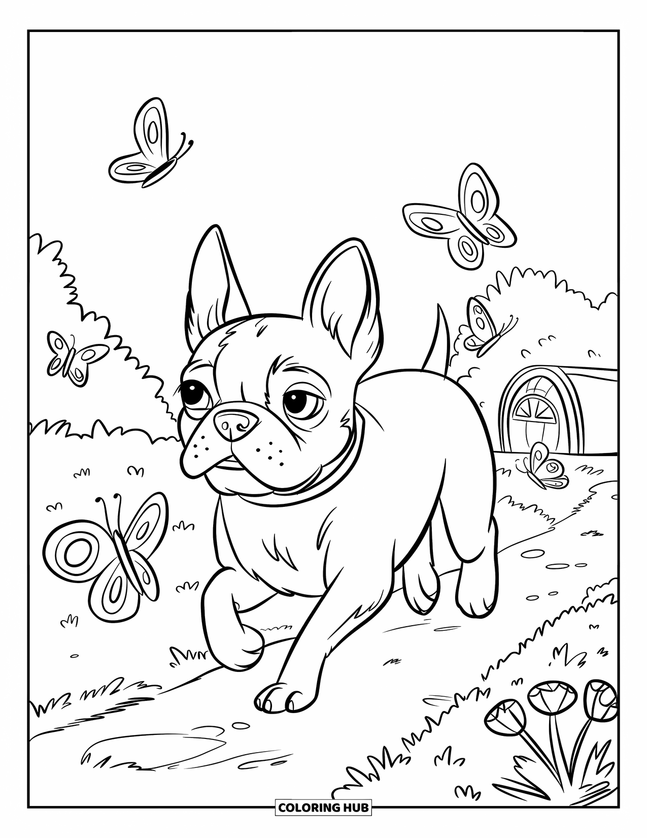 Boston Terrier Coloring Page for Kids: Boston Terrier running along a garden path with butterflies fluttering around