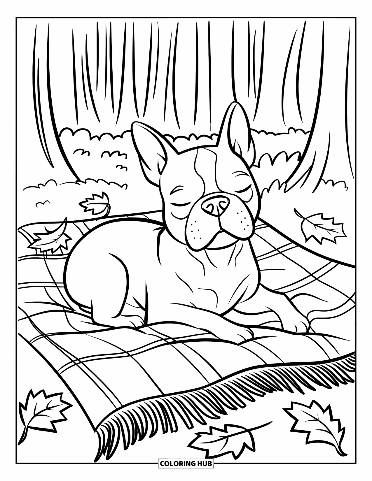 Boston Terrier Coloring Page for Kids: Boston Terrier sitting calmly on a blanket among leaves in a quiet forest