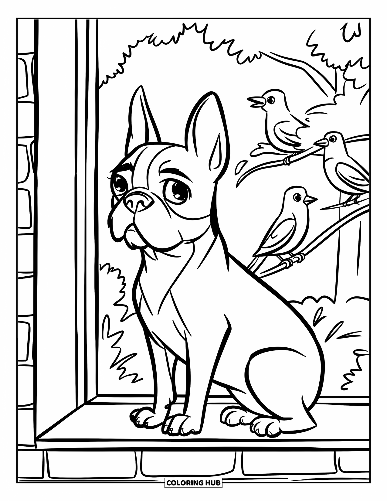 Boston Terrier Coloring Page for Kids: Boston Terrier sitting on a windowsill, watching birds flutter nearby