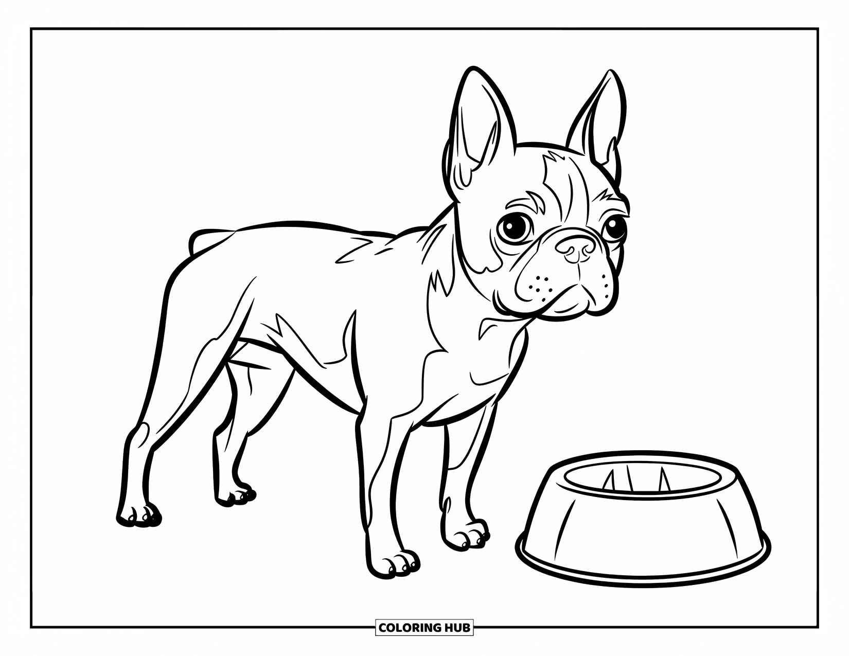 Boston Terrier Coloring Page for Kids: Boston Terrier standing beside a food bowl on the ground