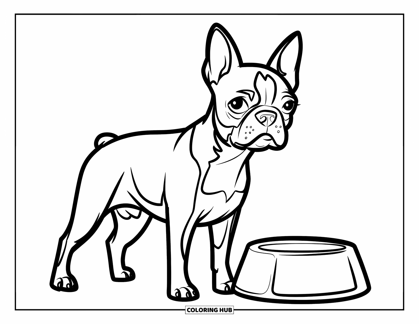 Boston Terrier Coloring Page for Kids: Boston Terrier with floppy ears standing next to a bowl on the floor