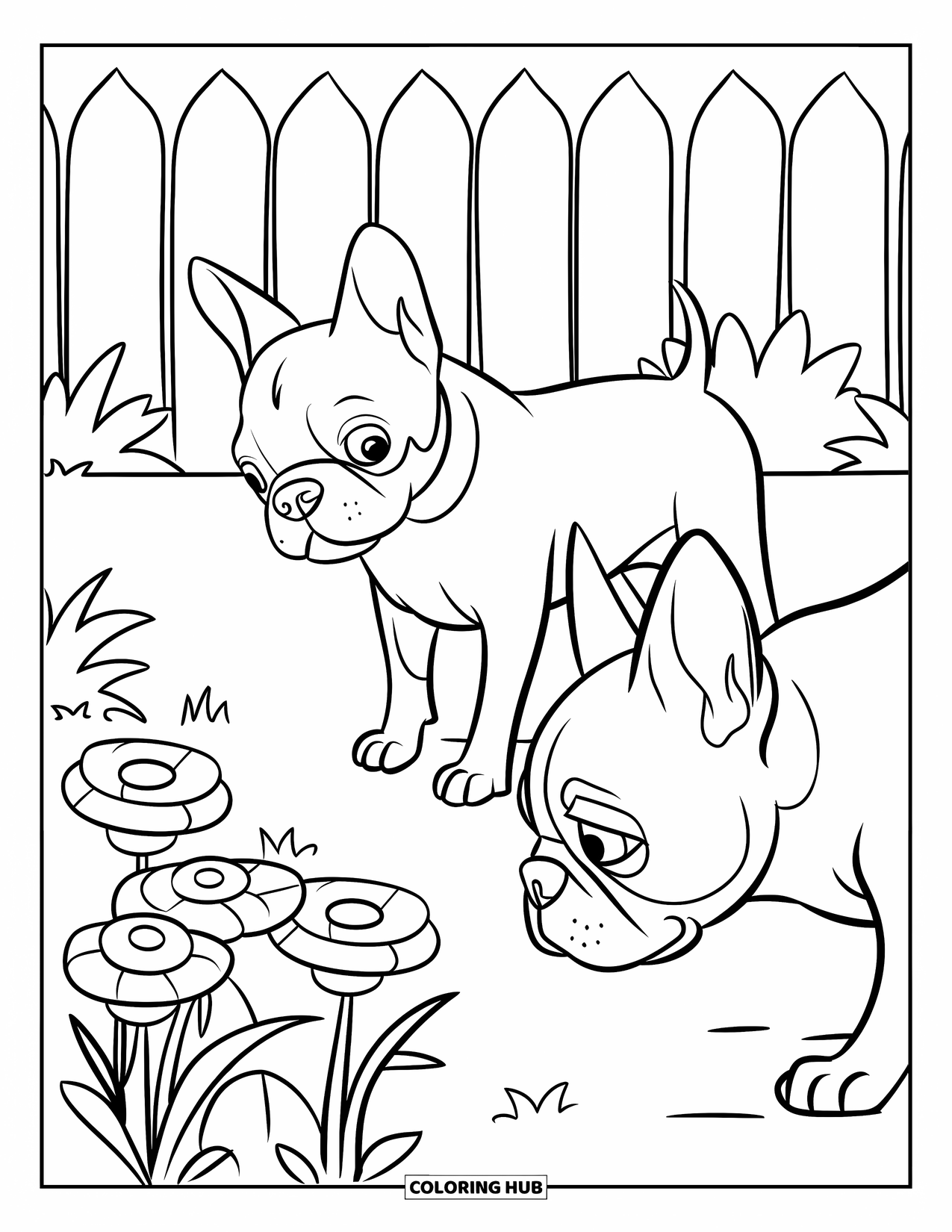Boston Terrier Coloring Page for Kids: Two Boston Terriers enjoying the scent of flowers in a quiet backyard