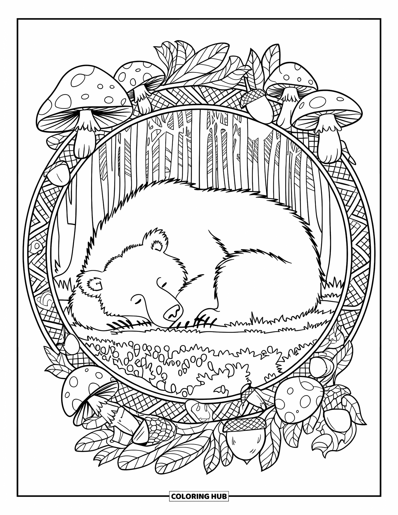 Brown Bear Coloring Page for Adults: A bear sleeps on moss, surrounded by a decorative ring of forest plants and trees