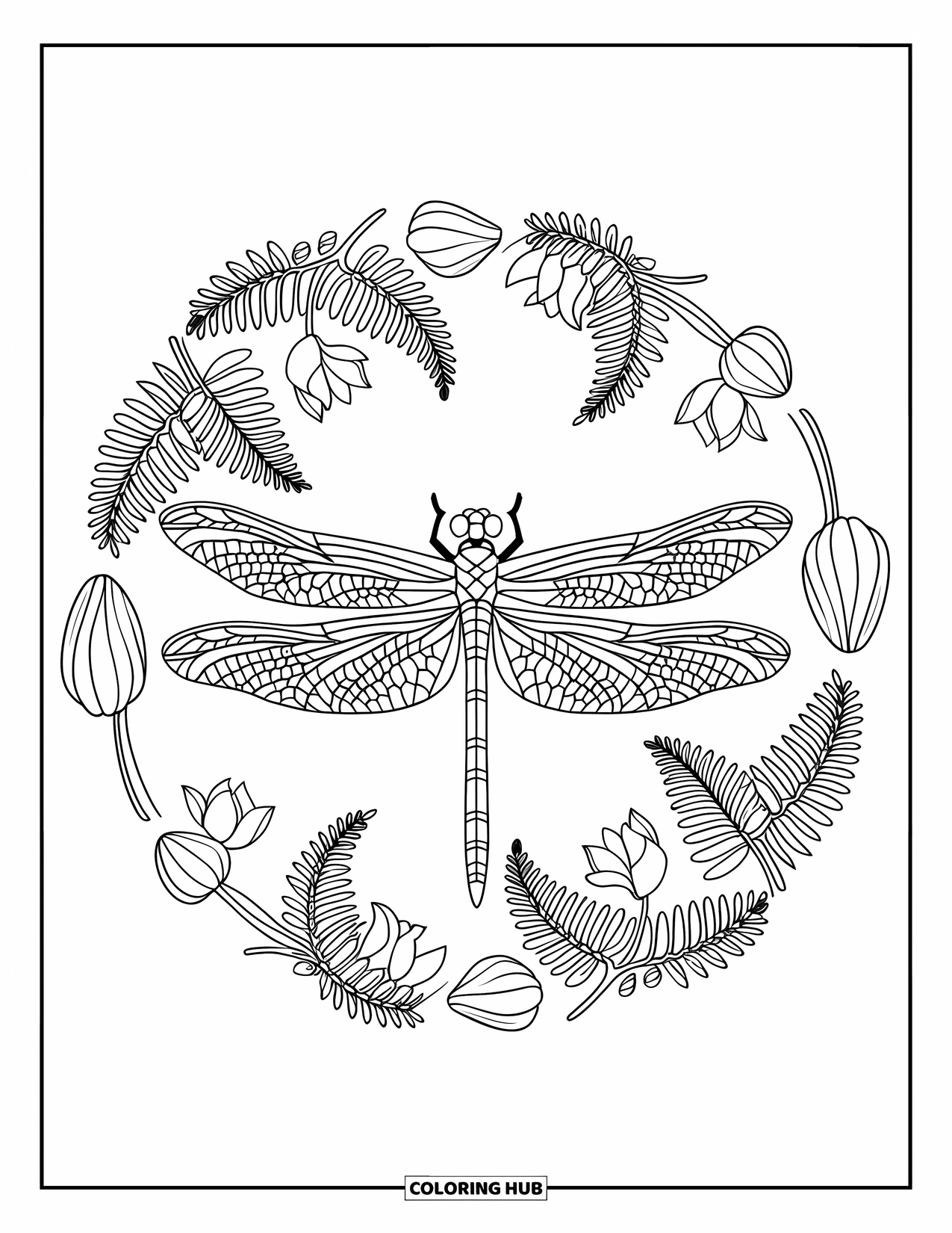 Bug Coloring Page for Adults: A dragonfly with outstretched wings rests in the middle of a fern-filled mandala
