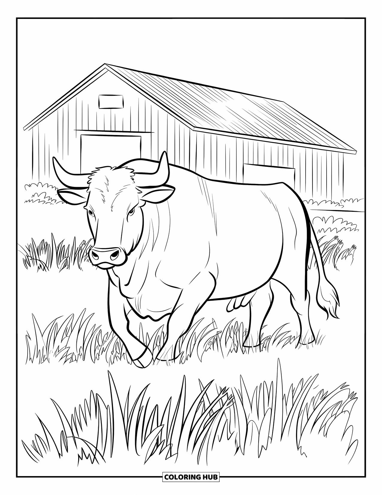 Bull Coloring Page for Kids: A mid-step bull walks through tall grass past a rustic barn