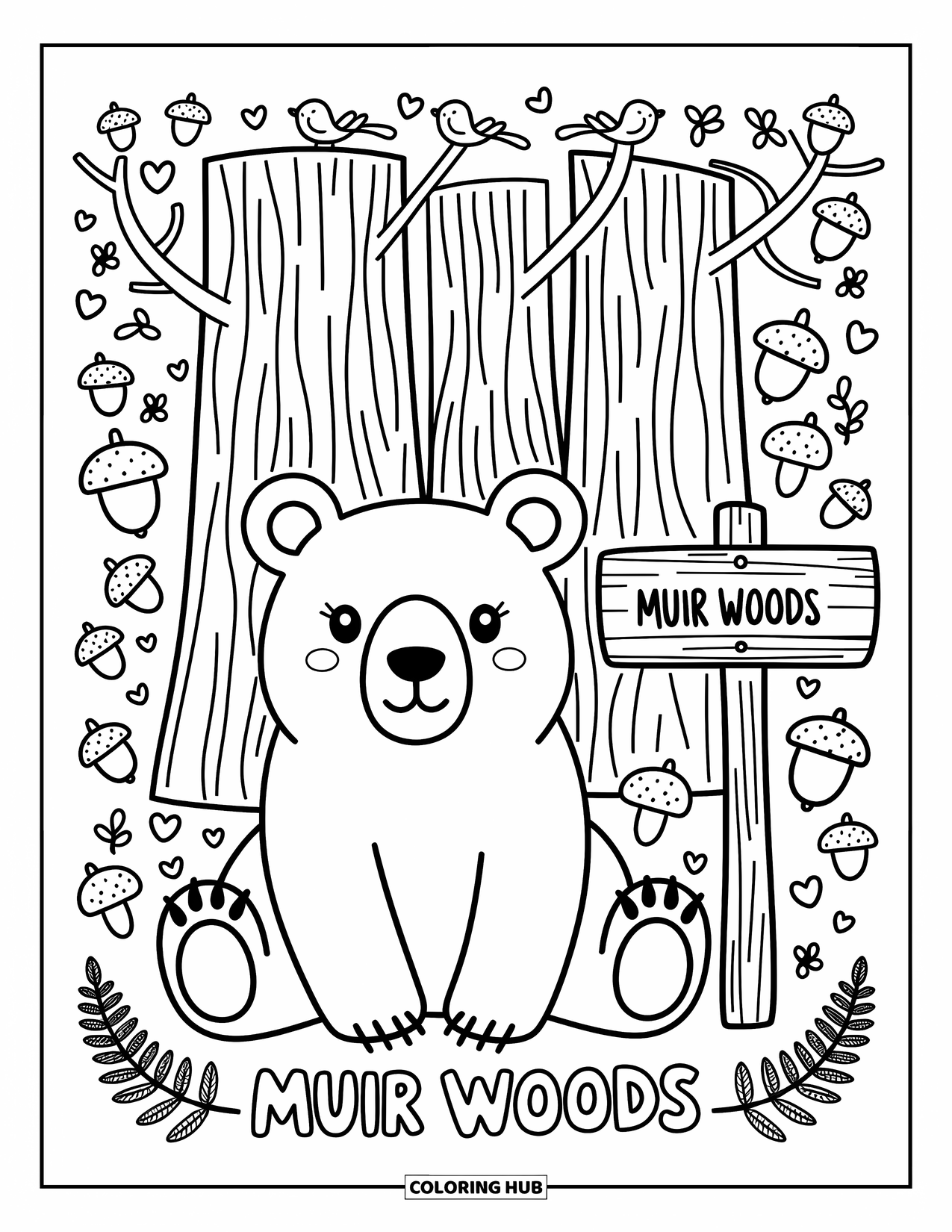 California Coloring Page for Adults: A cute bear rests under redwoods with mushrooms, ferns, and a Muir Woods sign