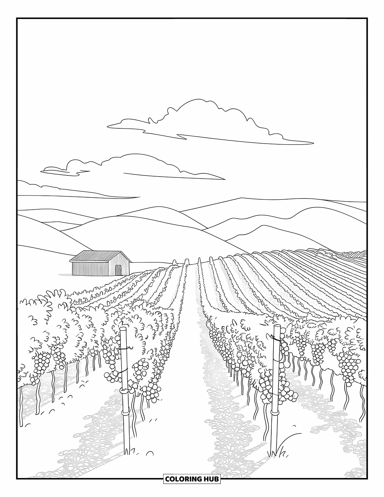 California Coloring Page for Adults: A Napa vineyard with rows of grapevines, a barn, and soft rolling hills