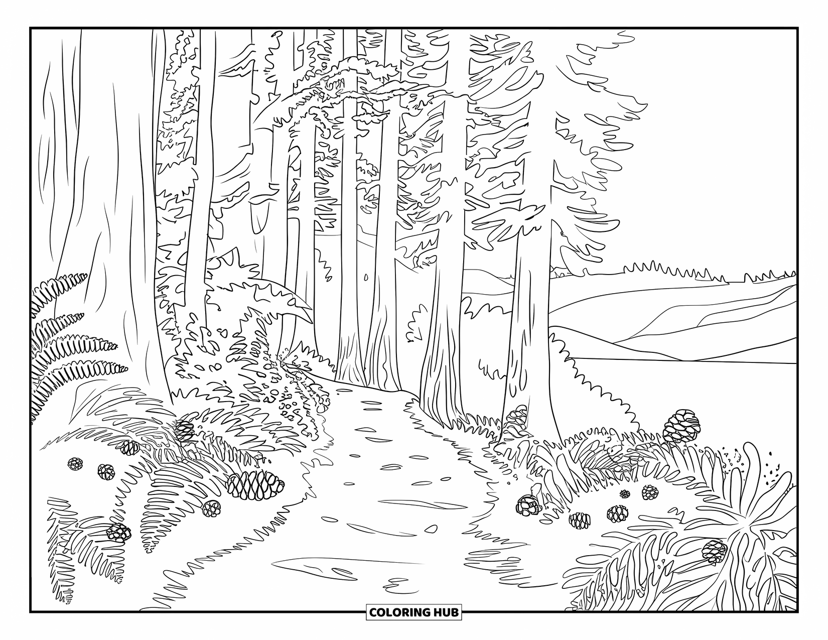 California Coloring Page for Adults: A quiet redwood trail lined with ferns, pinecones, and distant hills