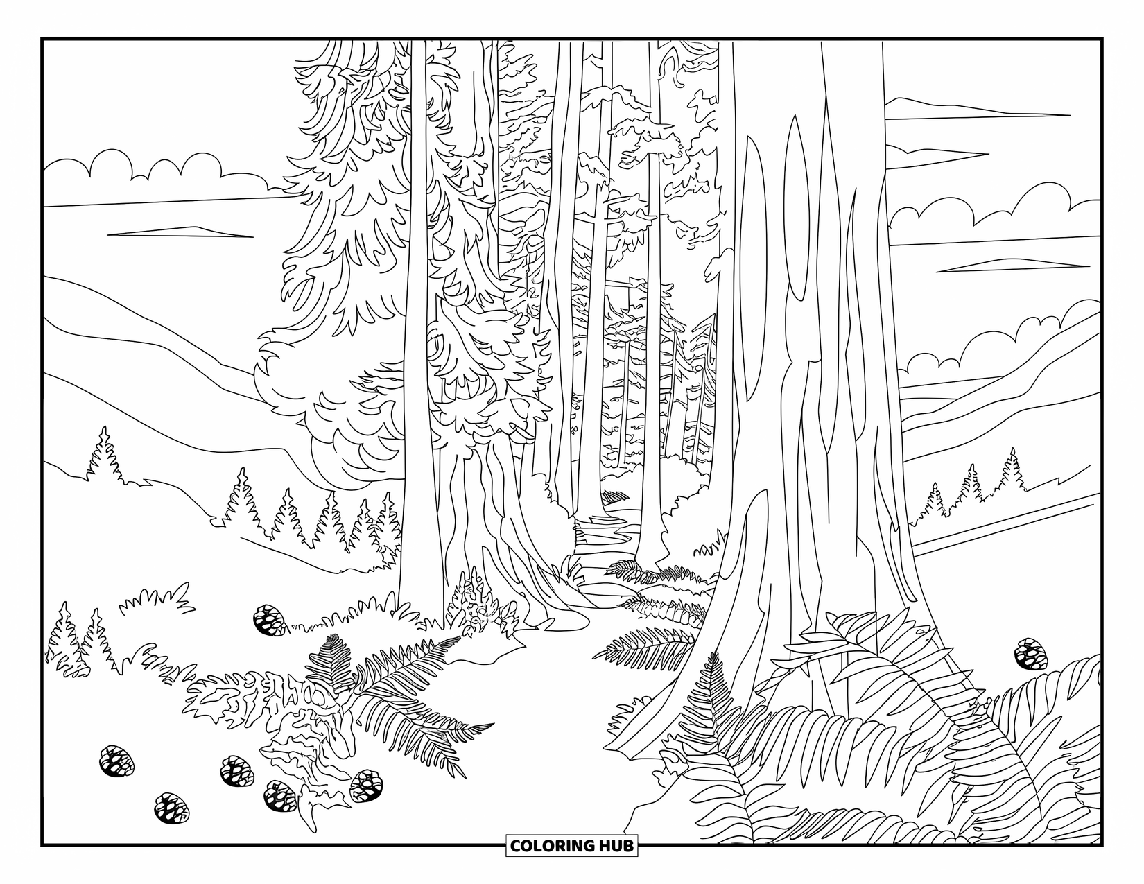 California Coloring Page for Adults: A redwood forest trail winds through tall trees, ferns, and scattered pinecones