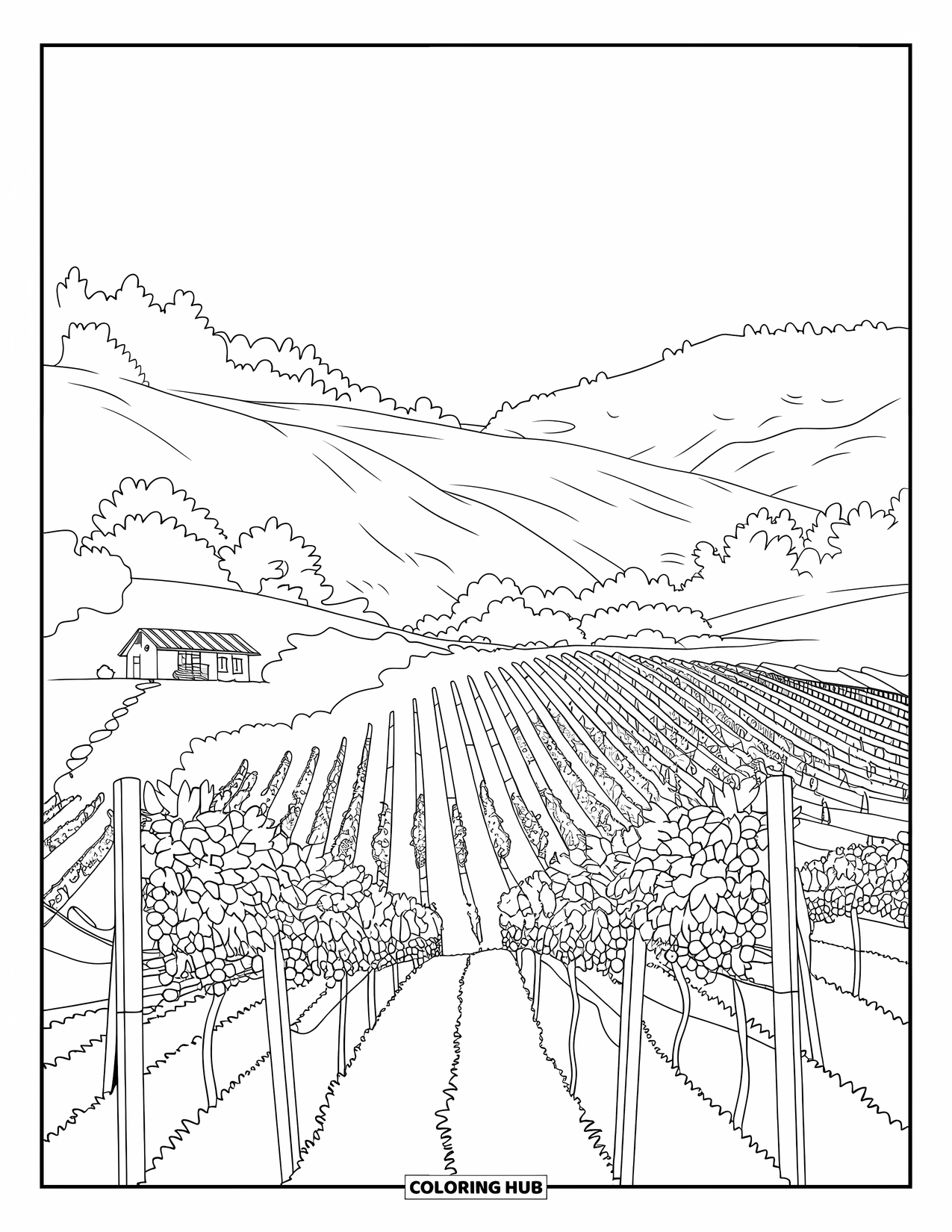 California Coloring Page for Kids: A vineyard landscape with hills, trellises, and a small farmhouse in the distance