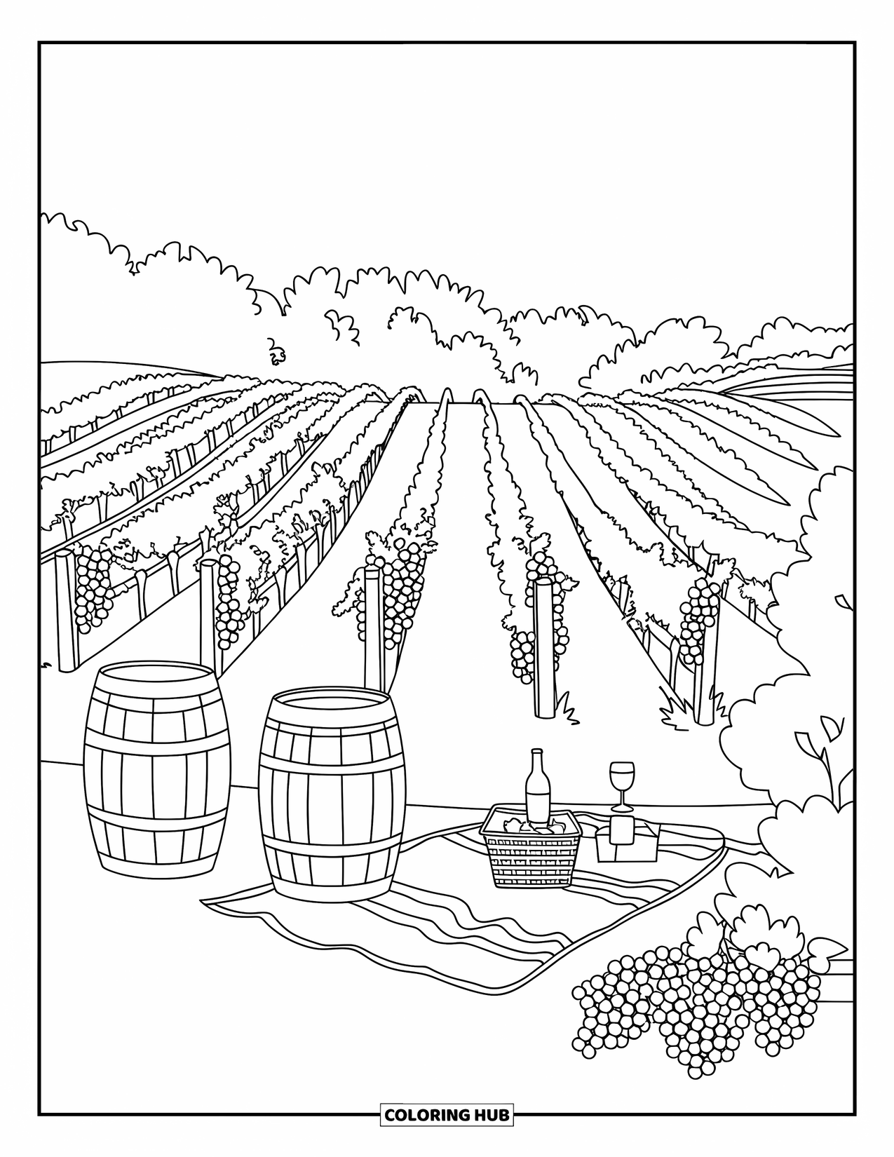 California Coloring Page for Kids: A vineyard picnic scene with grape rows, barrels, and a cozy setup