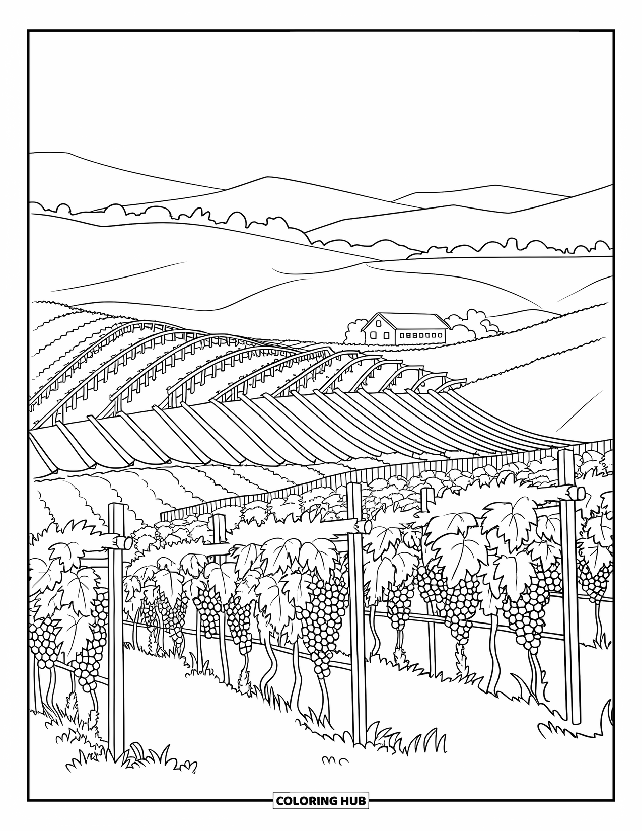 California Coloring Page for Kids: A vineyard with wooden trellises, grapevines, and a fenced farmhouse among rolling hills