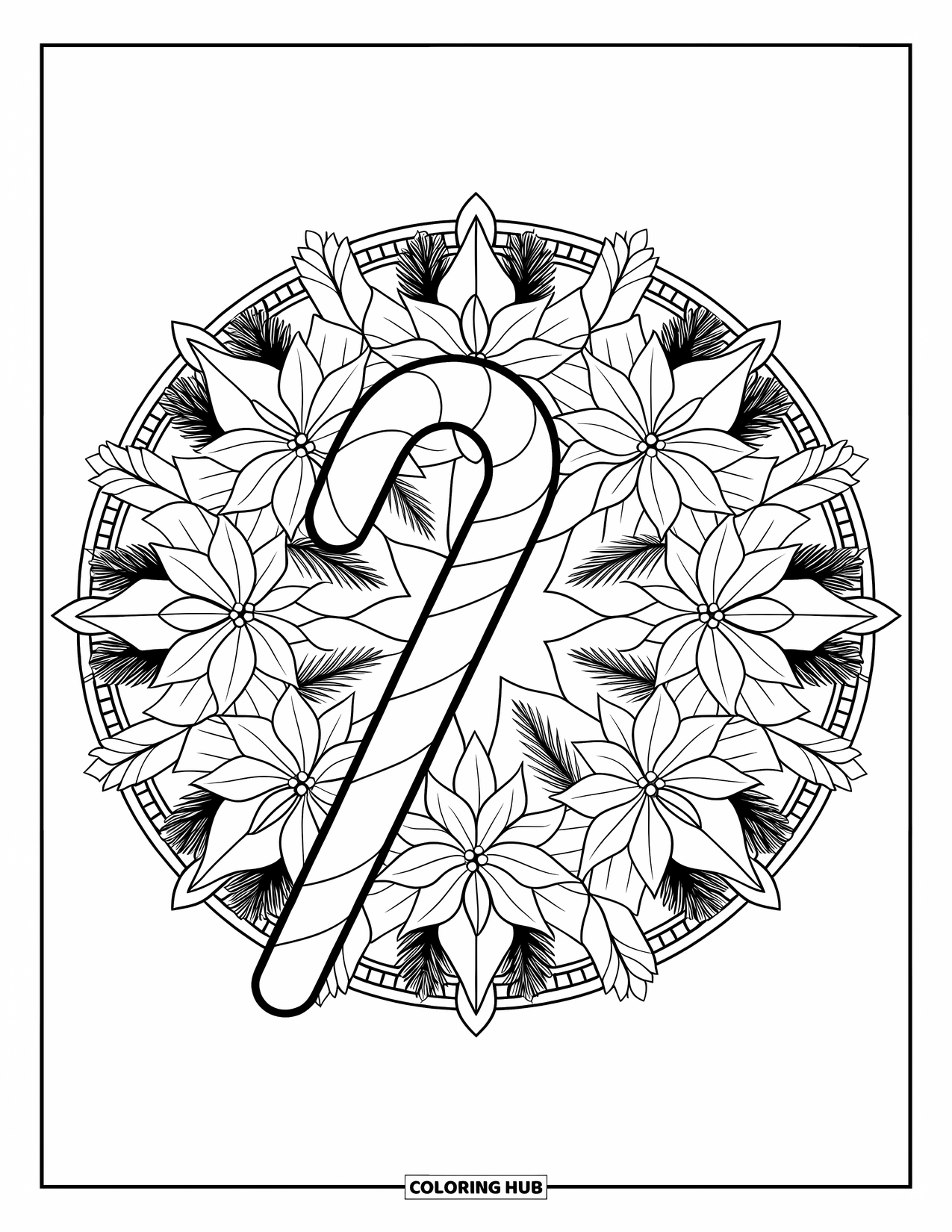 Candy Cane Coloring Page for Adults: Poinsettias and pine needles form a mandala around a candy cane