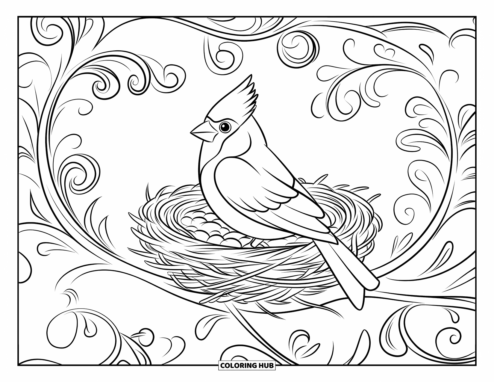 Cardinal Coloring Page for Adults: Cardinal nestled in a nest on a branch with ornate floral swirls