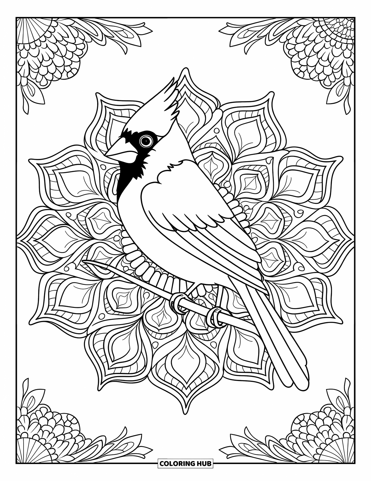 Cardinal Coloring Page for Adults: Cardinal on a branch framed by intricate floral mandala patterns