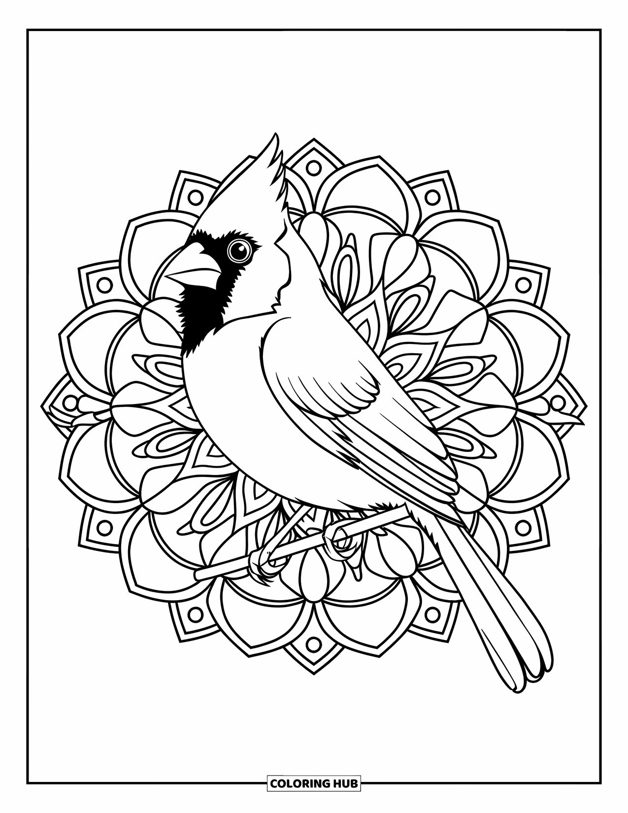 Cardinal Coloring Page for Adults: Cardinal perched on a branch with a detailed floral mandala background