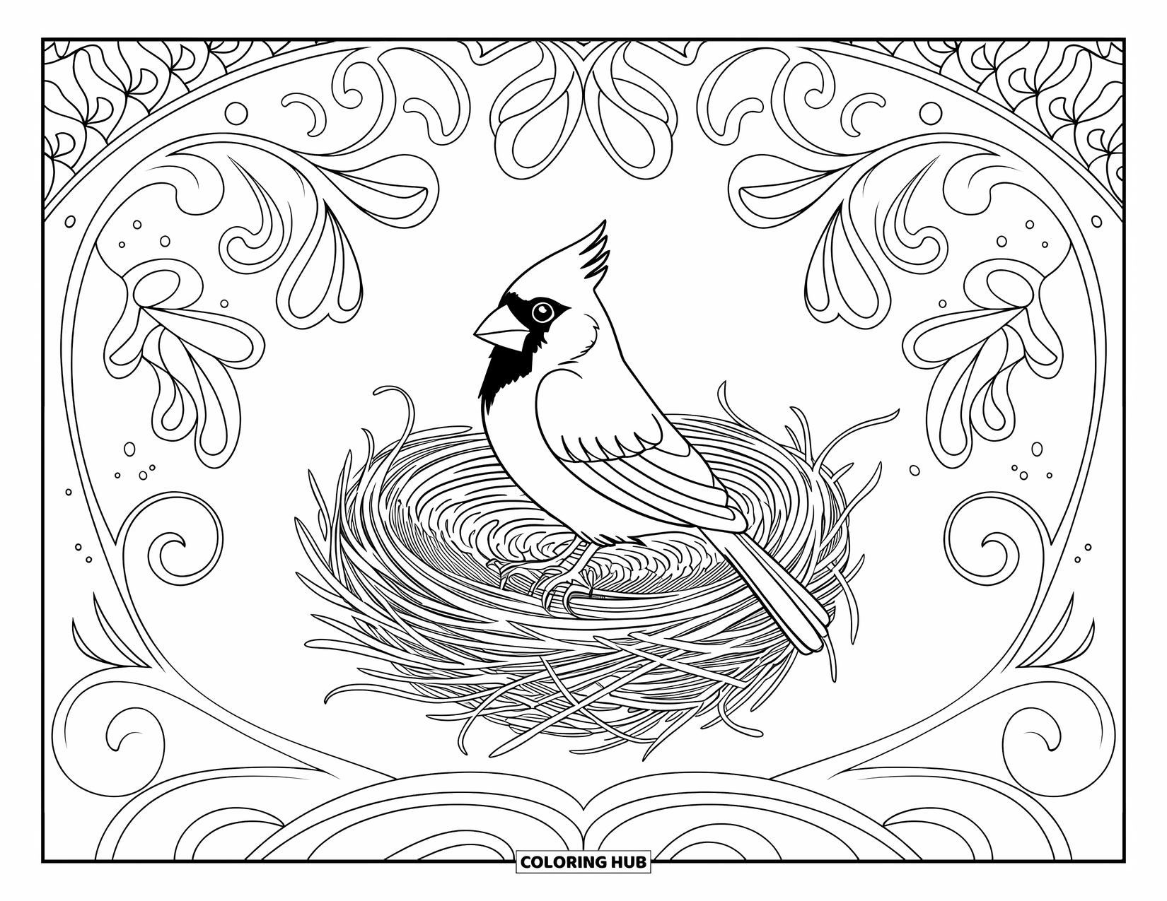 Cardinal Coloring Page for Adults: Cardinal sitting in a floral-patterned nest with elegant swirls