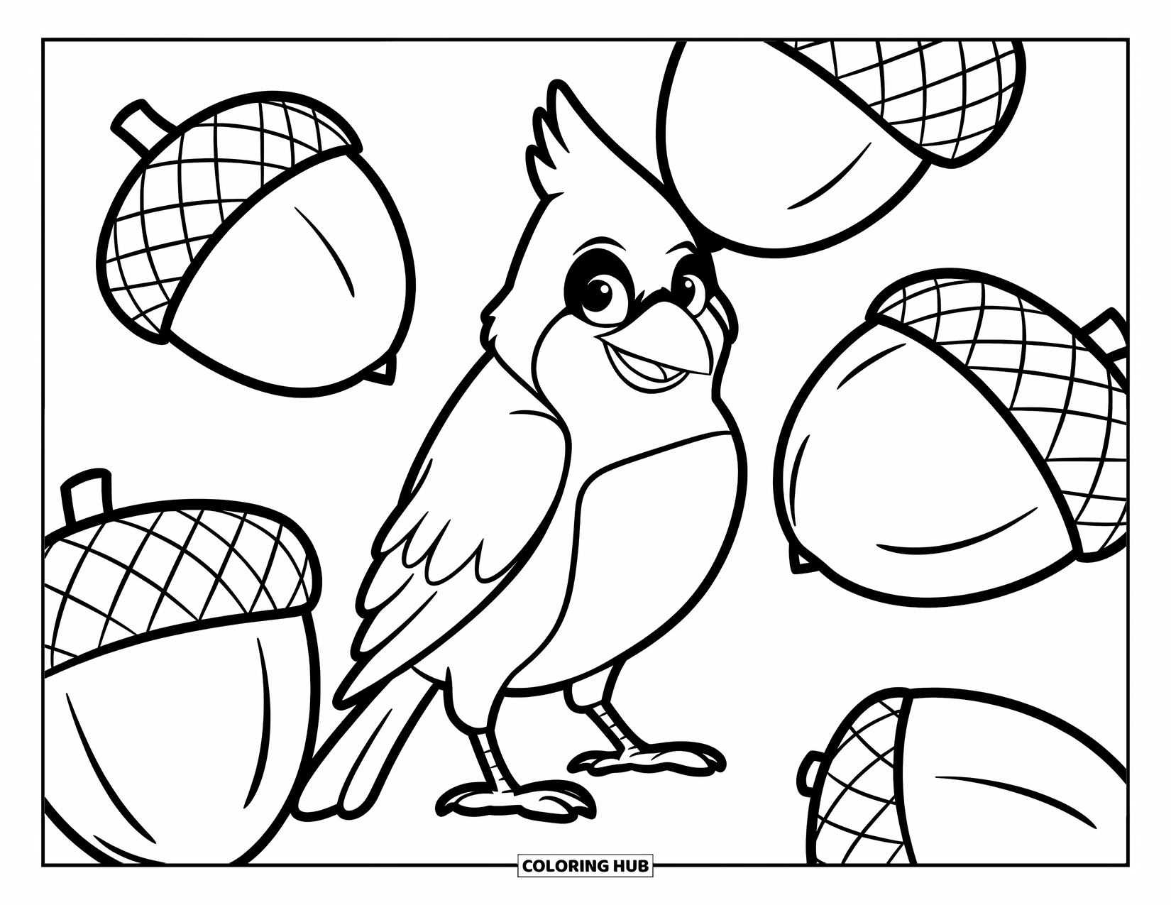 Cardinal Coloring Page for Kids: Chunky cardinal stands among giant acorns on a white background