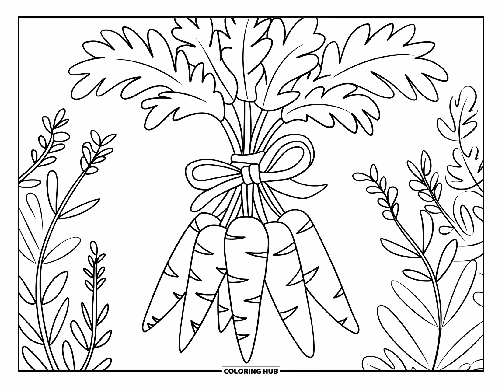 Carrot Coloring Page for Kids: A bunch of carrots is tied with ribbon and surrounded by garden herbs