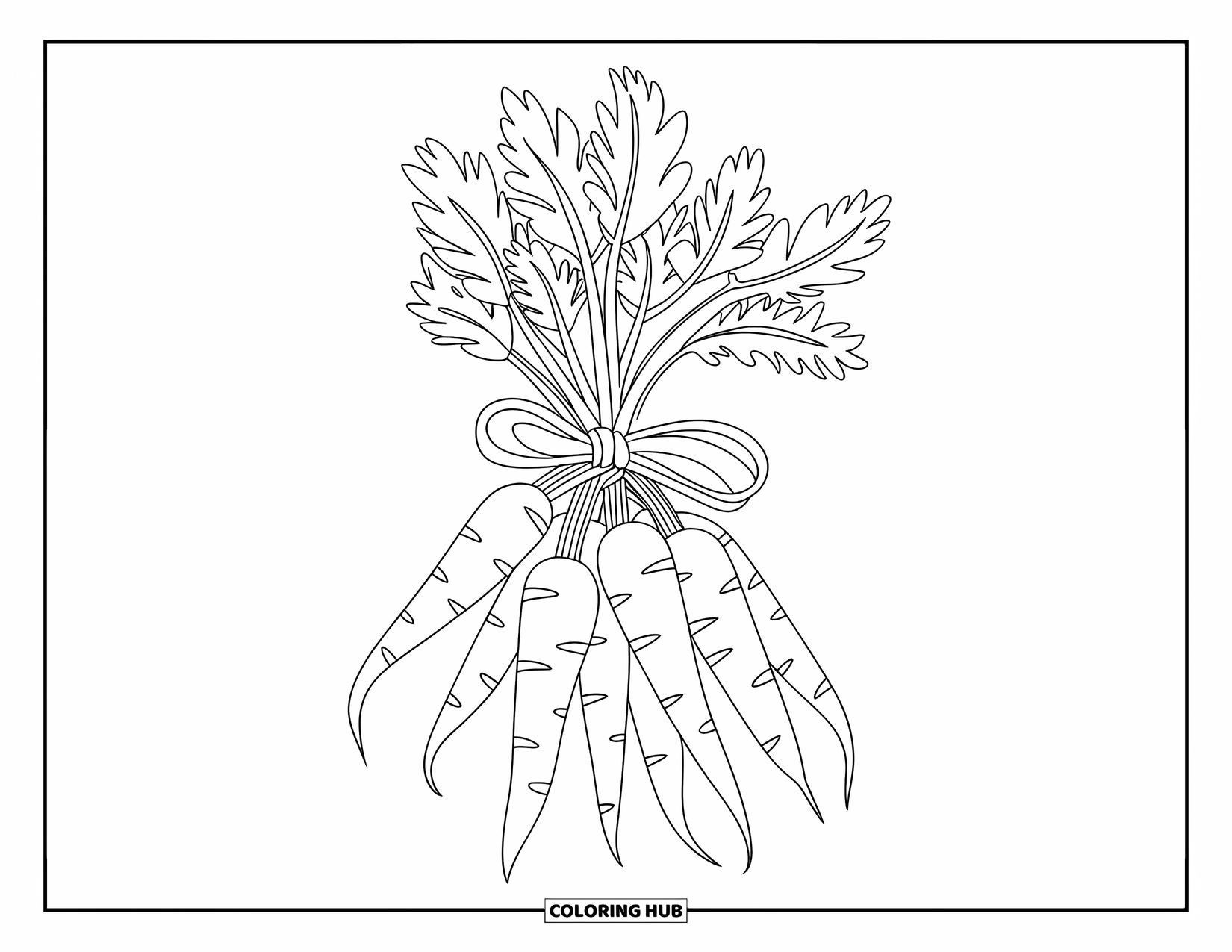 Carrot Coloring Page for Kids: A bunch of carrots with leafy tops is tied together with a ribbon