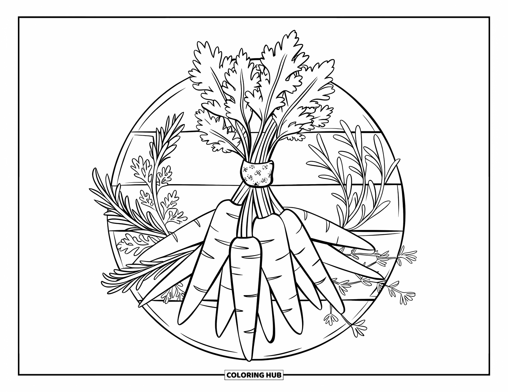 Carrot Coloring Page for Kids: A carrot bundle is circled by herbs and placed on a wooden board