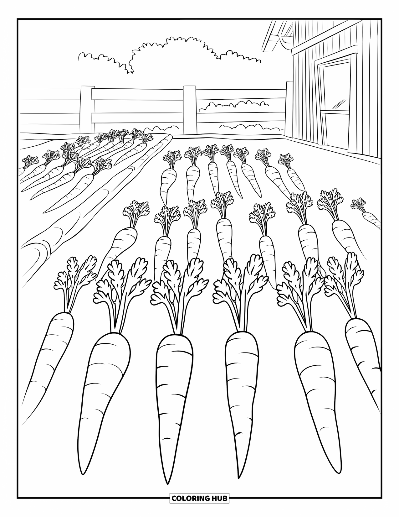 Carrot Coloring Page for Kids: A garden of tall carrots stretches toward the sky near a wooden building