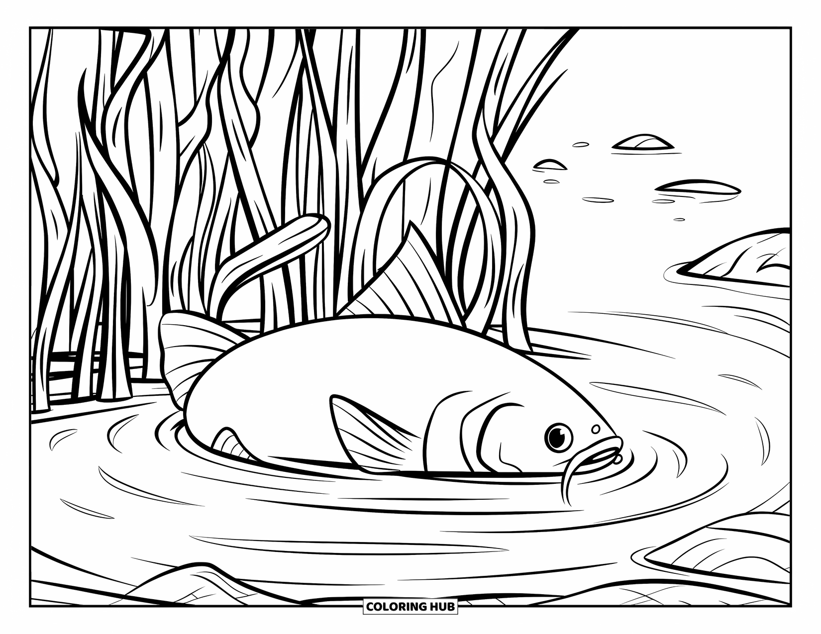 Catfish Coloring Page for Kids: A friendly catfish relaxes in a calm cove with reeds and rocks nearby