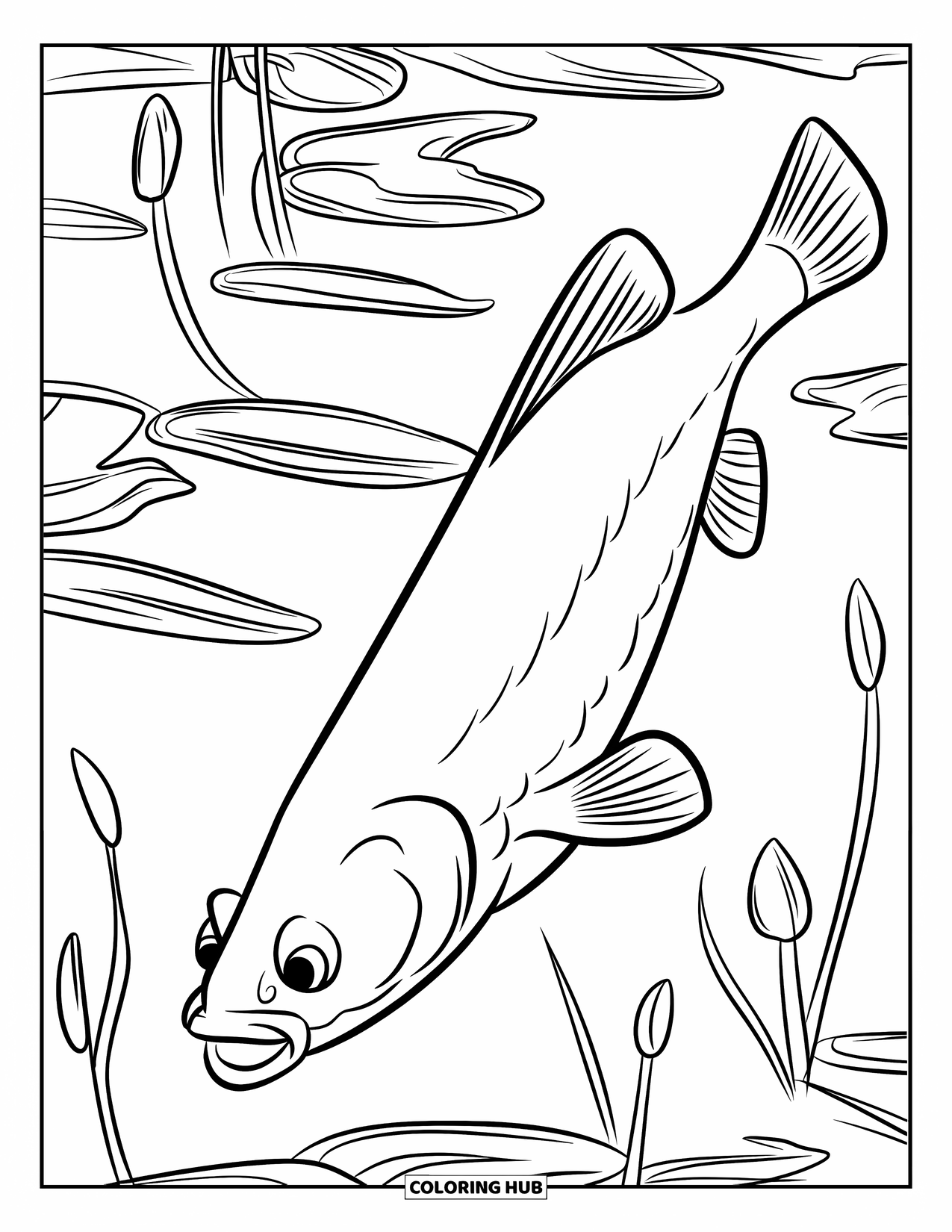 Catfish Coloring Page for Kids: A sleek catfish dives under pondweed and lily stems