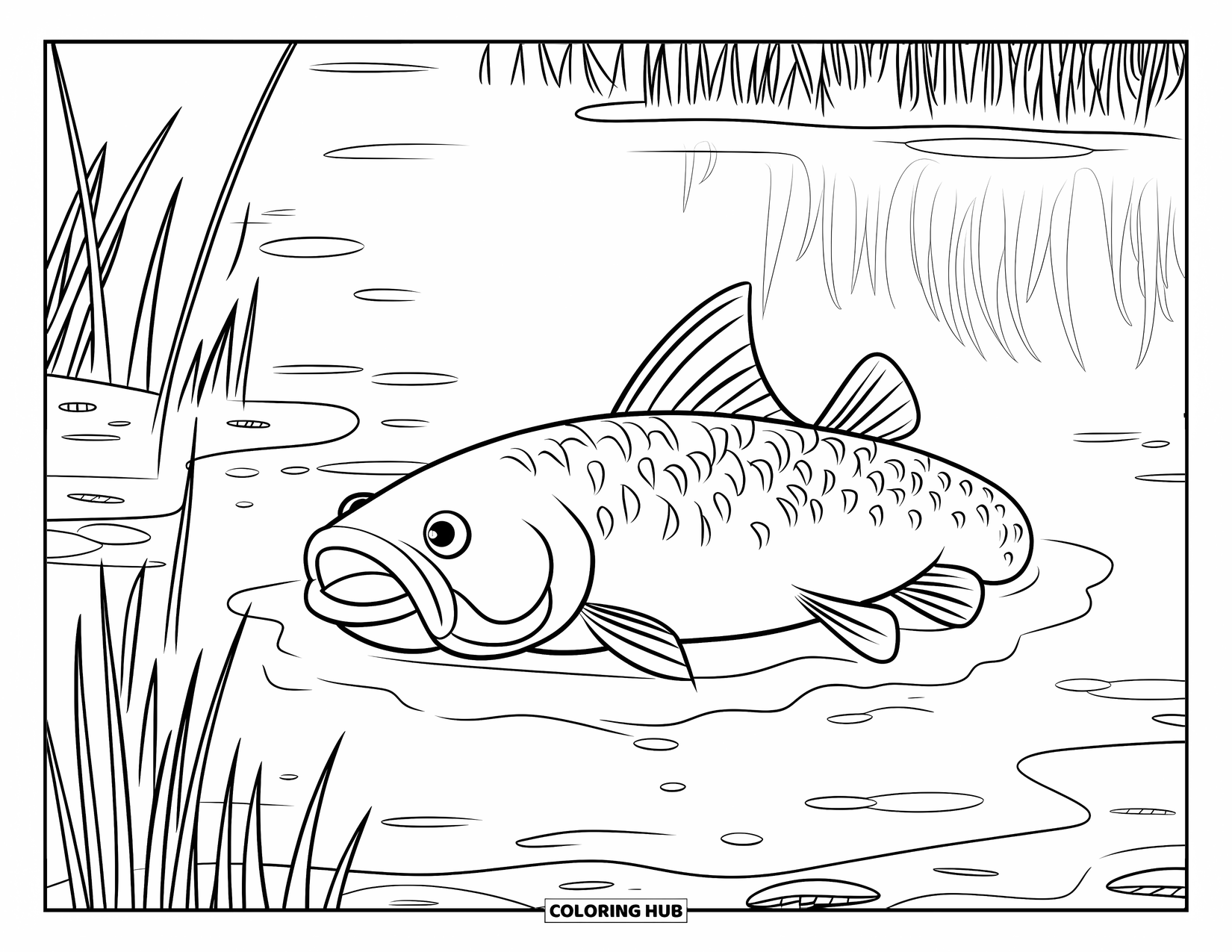 Catfish Coloring Page for Kids: A wide-mouthed catfish rests by a lake surrounded by soft reeds and mud