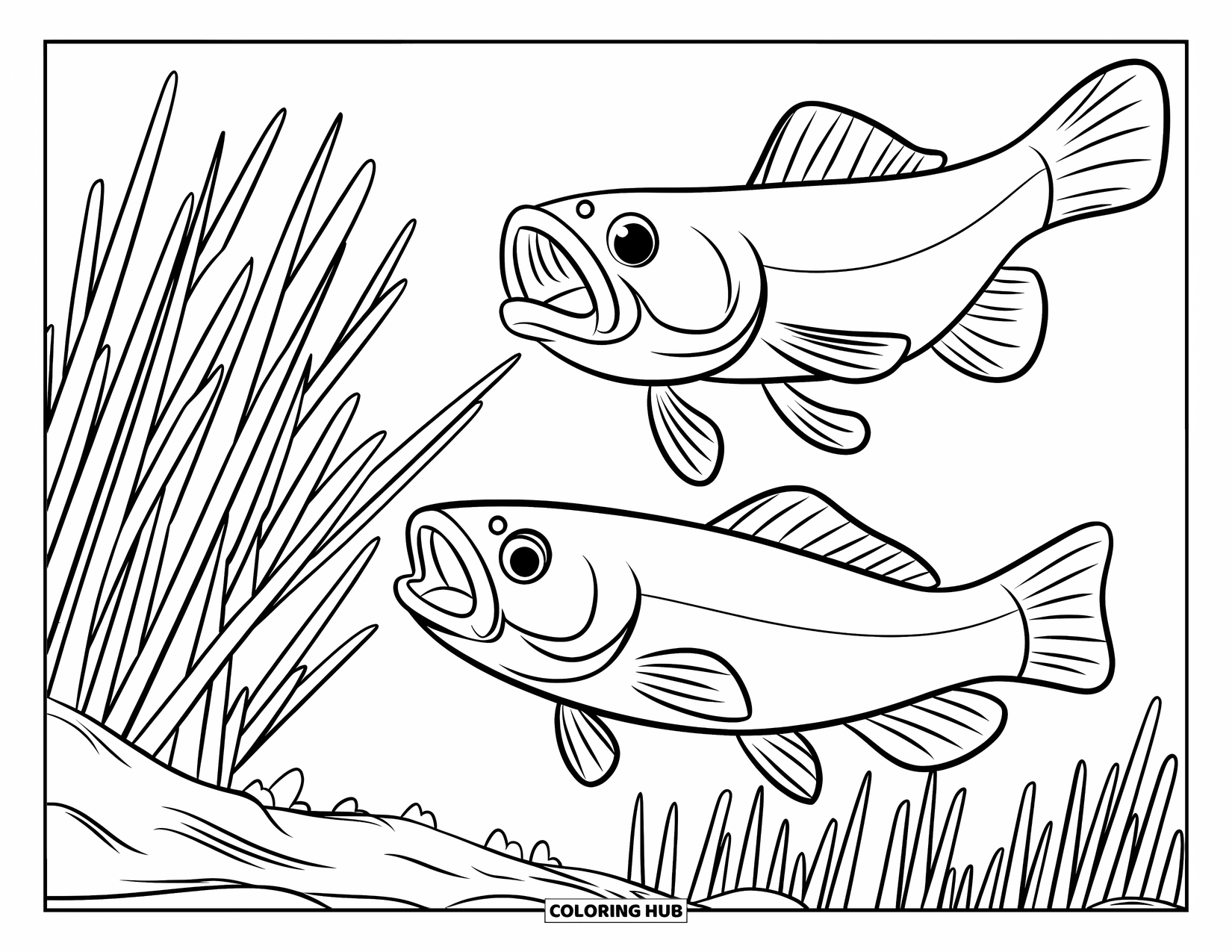 Catfish Coloring Page for Kids: Catfish with wide mouths swim among thick underwater reeds
