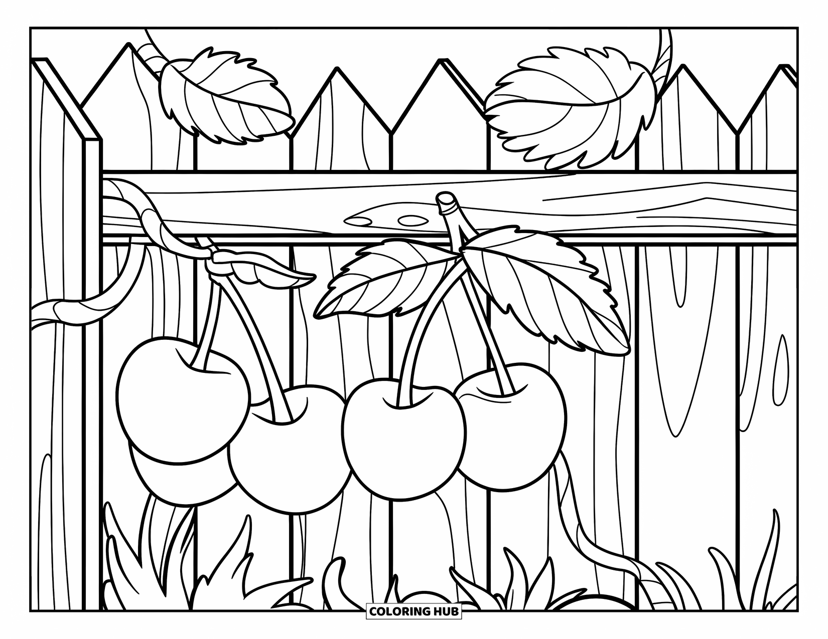 Cherry Coloring Page for Kids: Cherries hang over a wooden fence wrapped in soft vines