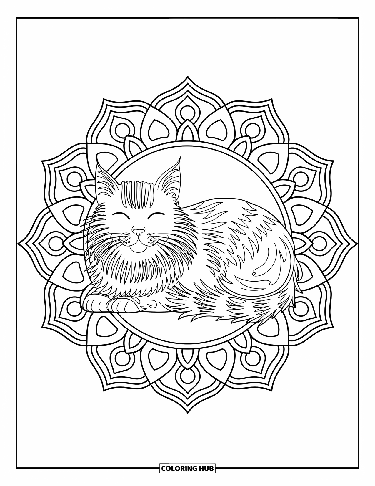 Christmas Cat Coloring Page for Adults: A long-haired cat naps at the center of a detailed mandala design