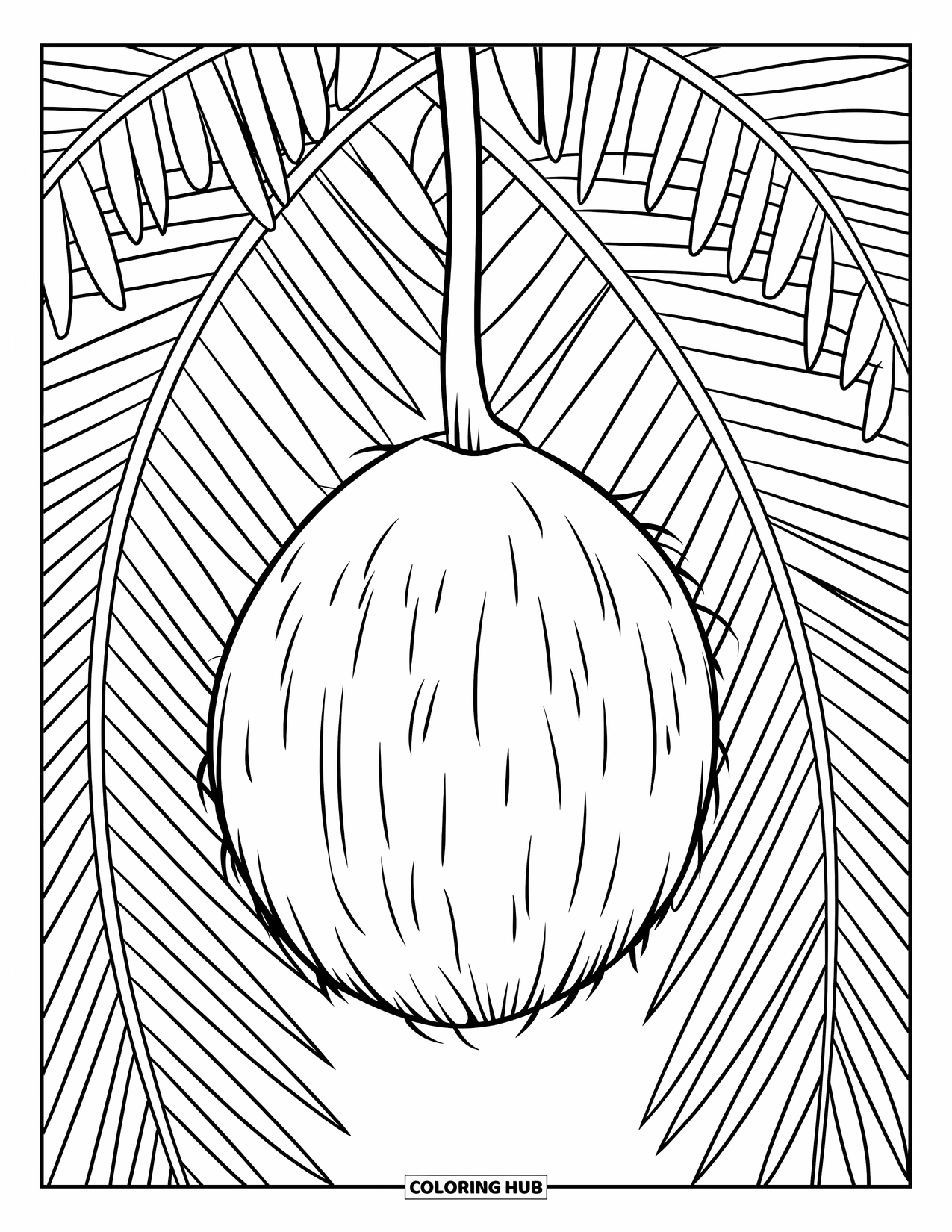 Coconut Coloring Page for Kids: Coconut hanging from a palm tree with bold outlines and simple shape