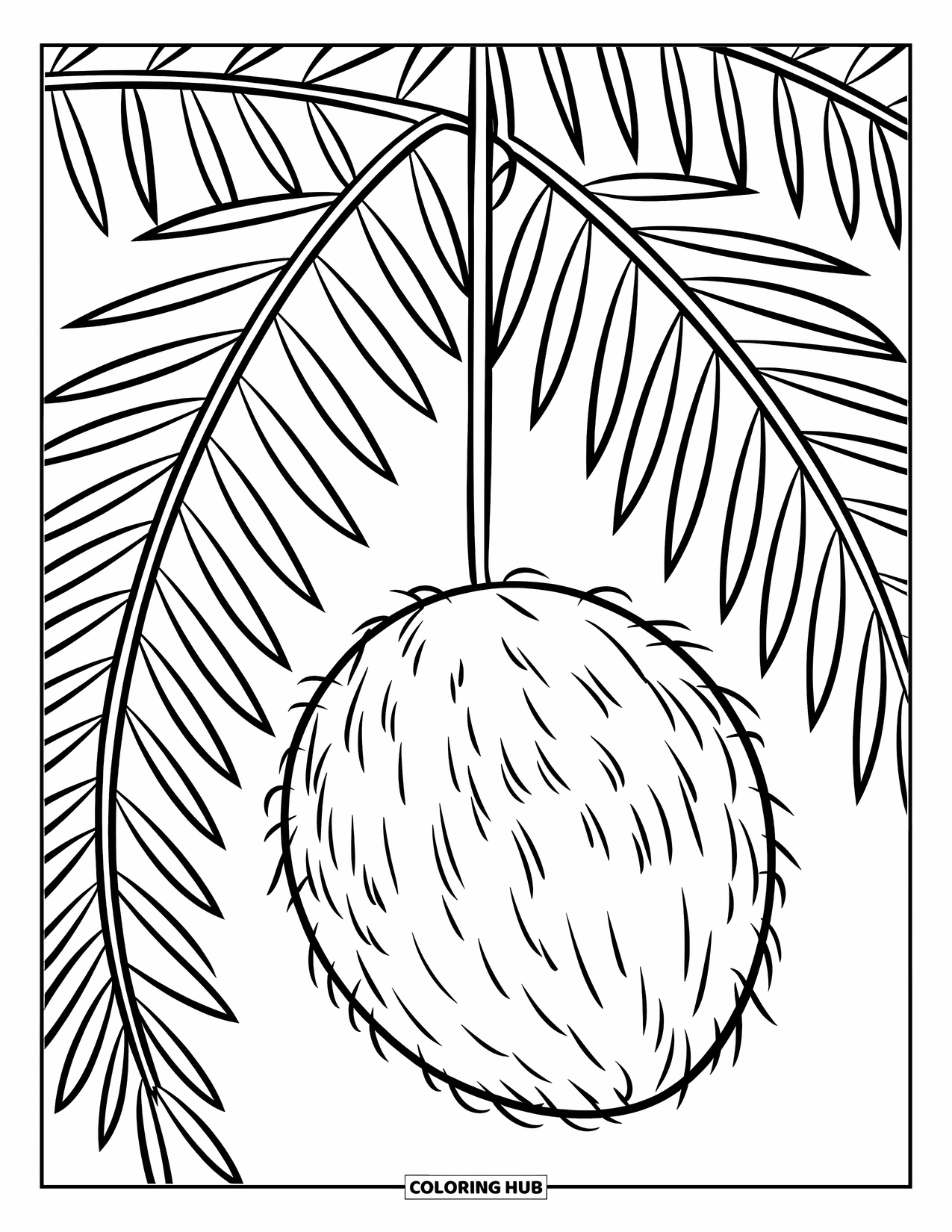 Coconut Coloring Page for Kids: Coconut on a palm tree with thick leaves and clean, easy lines