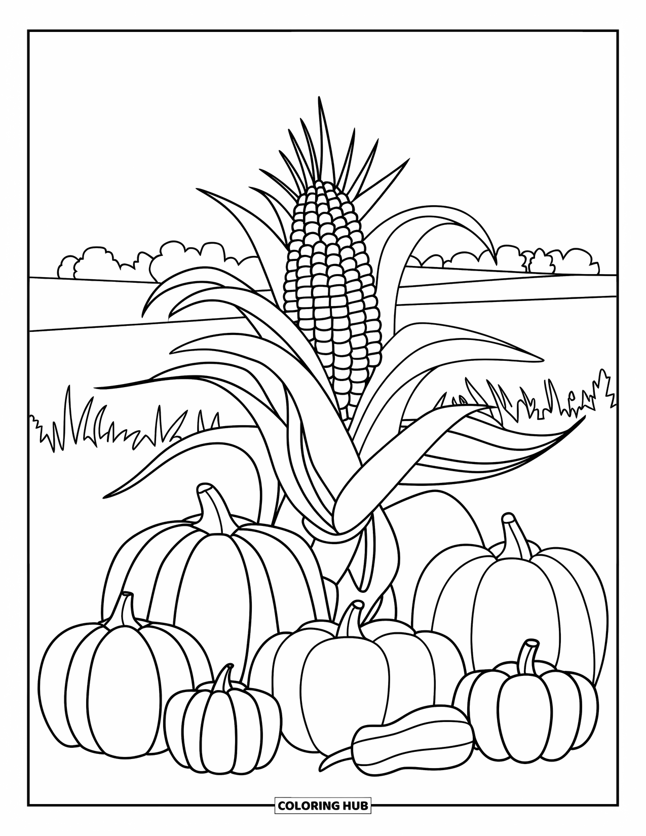 Corn Coloring Page for Kids: A harvest of corn, pumpkins, and apples is laid out in a cozy fall scene