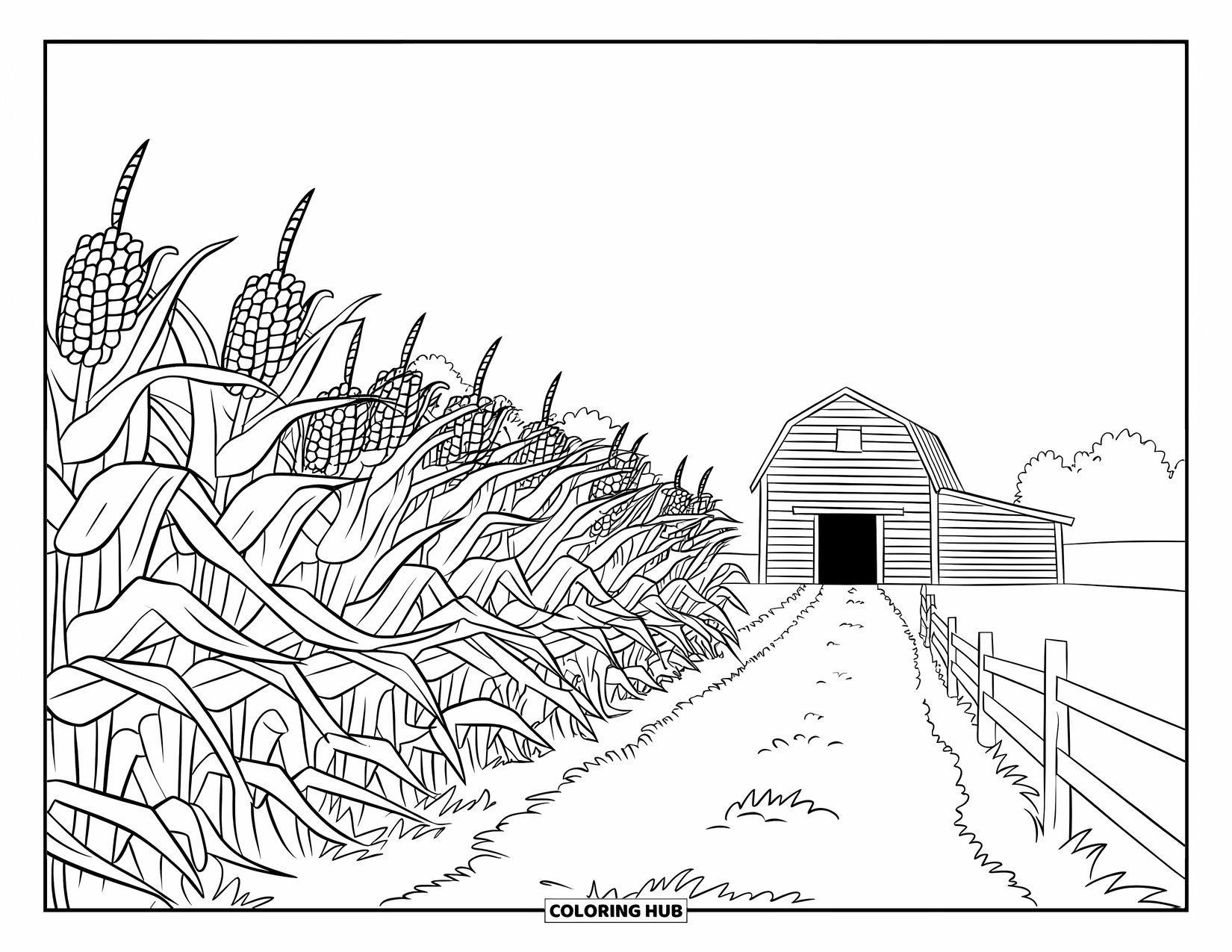 Corn Coloring Page for Kids: A winding cornfield path ends at a quiet barn with a slanted roof