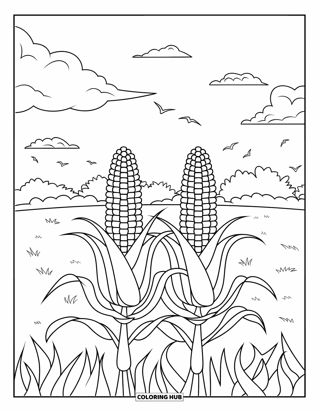 Corn Coloring Page for Kids: Corn stalks reach toward a clear sky with birds gliding through soft clouds