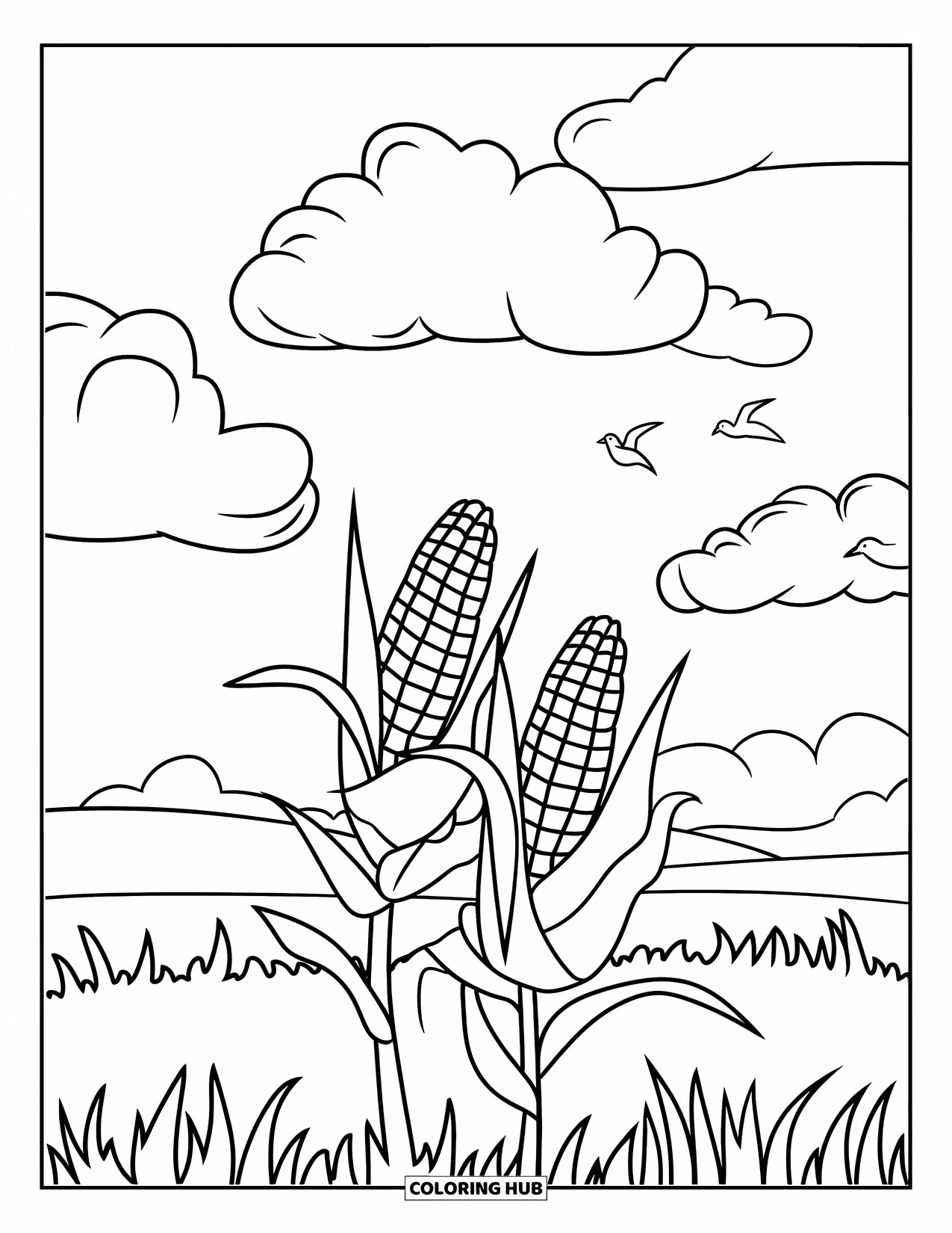 Corn Coloring Page for Kids: Two corn stalks stand in a quiet field with birds and puffy clouds above