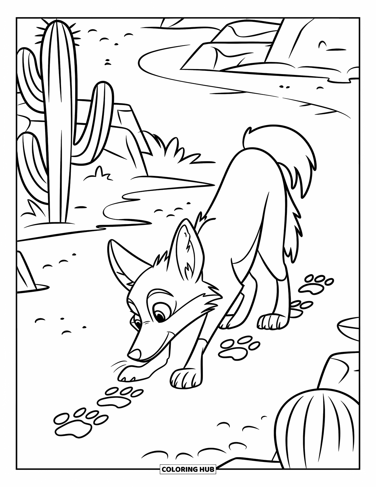 Coyote Coloring Page for Kids: Curious coyote sniffs the trail, surrounded by rocks and cactus