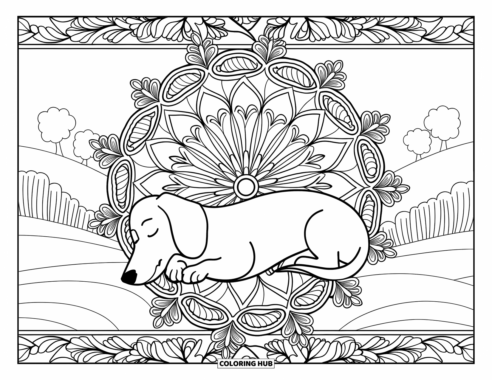 Dachshund Coloring Page for Adults: A curled dachshund sleeps beneath a floral mandala, surrounded by hills and trees