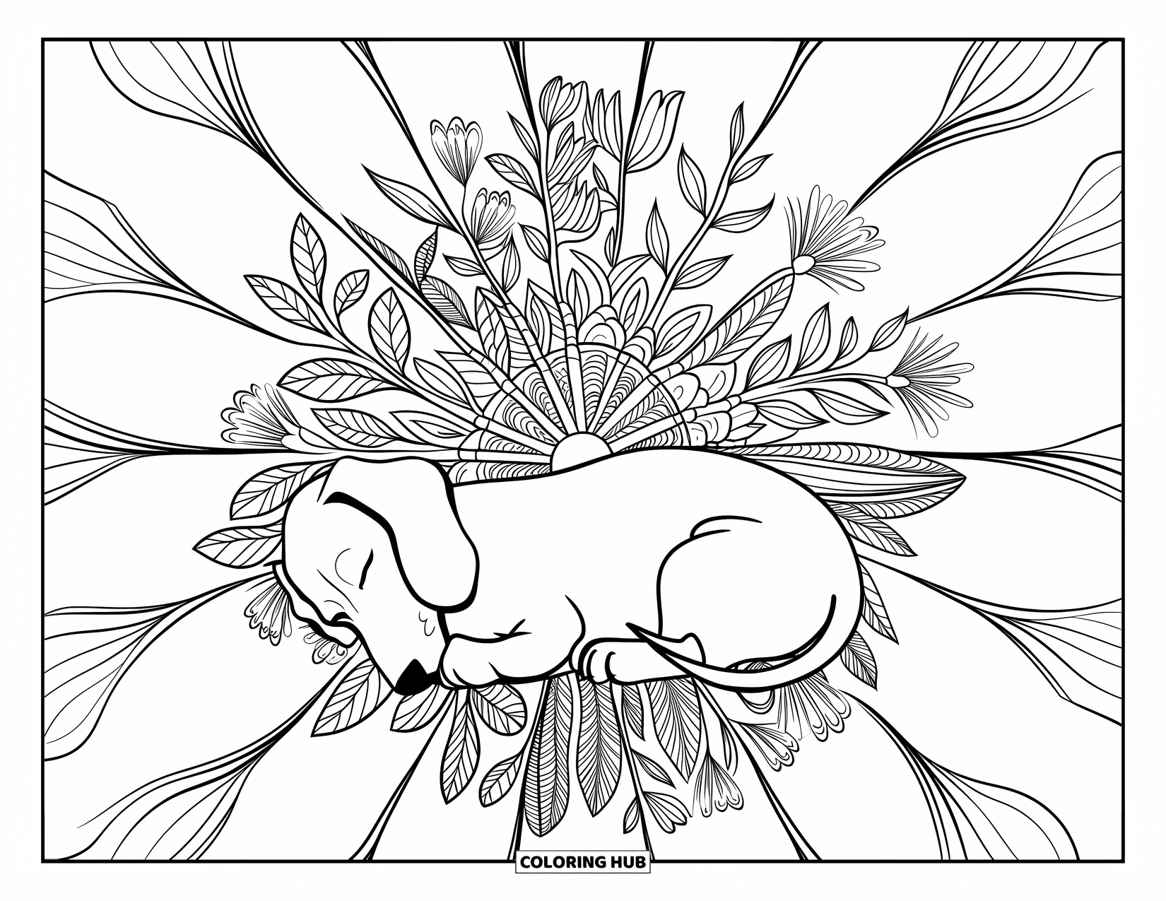 Dachshund Coloring Page for Adults: A curled-up dachshund sleeps under a canopy of vines and soft floral mandala